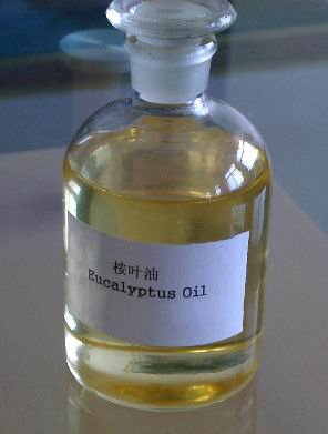 Eucalyptus Oil, Packaging Type : Bottles