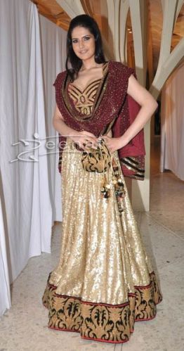 Zarine Khan Golden Lehenga, Size : Customized Size 38 To 44