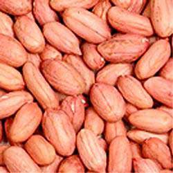 Groundnut Kernels