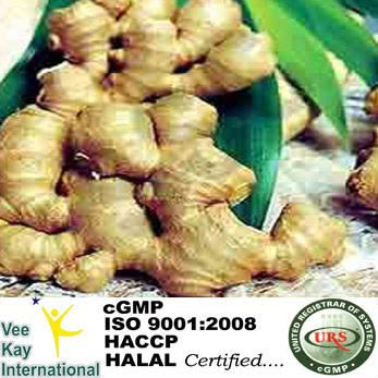 Ginger Oil, Source : Rhizomes / Roots