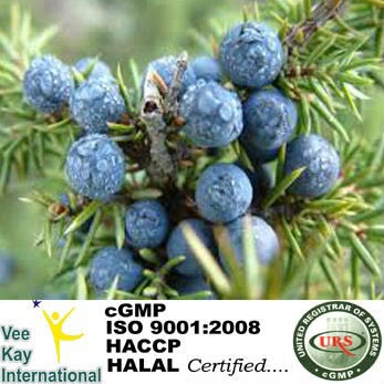 Juniper Berry Oil