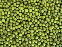 Green Mung Beans, Packaging Type : Jute Bag