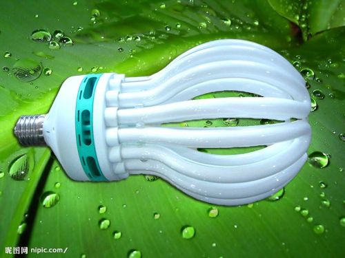Lotus Energy Saving Lamp(45w-200w)