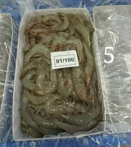 Frozen Head On Shell On Vannamei Shrimp