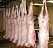 Frozen goat meat