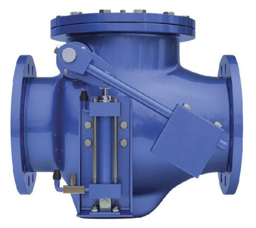 Swing Check Valve