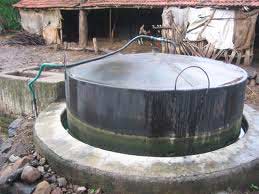 Biogas Generator