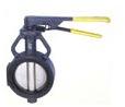 Aaimavalves Butterfly Valves