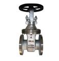 Stainless Steel Gate Valves