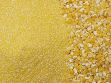 Organic Maize Flour, For Cooking, Packaging Type : Plastic Bag