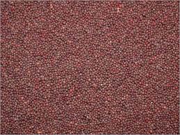 Mustard Seeds, Packaging Type : Paper Bag, Plastic Bag