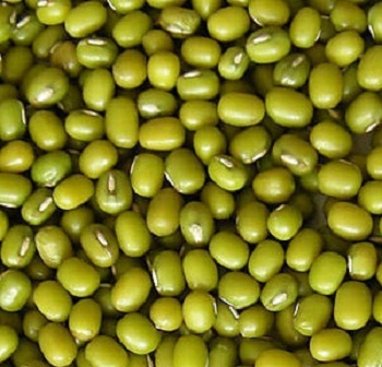 Green Mung Beans