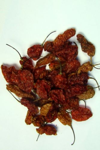 Bhut Jolokia - Ghost Chilli