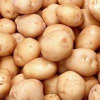 Potatoes, Color : Yello Brown