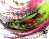 Grizzly Rooster Feathers