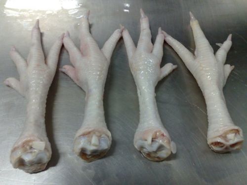 Frozen Chicken Feet Processed