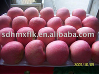 Fresh apples 80 88 99 100 113 etc