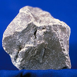 Limestone Lumps Form : Lumps