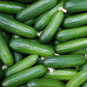 Cucumber, Packaging Size : 5-25kg