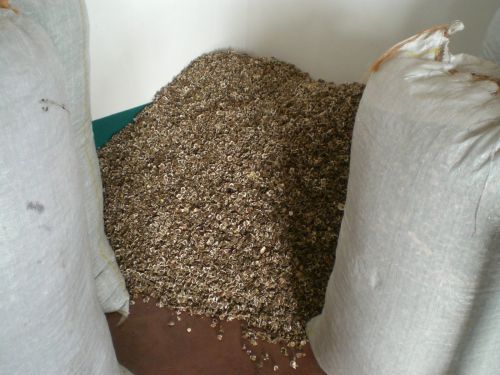 Moringa Seeds For Oil Extraction