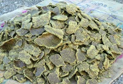 Groundnut Oil Cake, Packaging Type : In Sake Of Jute Of 50 Kgs.