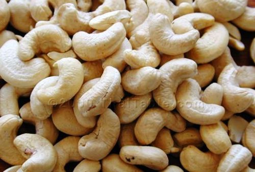 Cashew Nuts Kernels