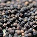 Black pepper, Certification : ISO, HAACP, PHYTOSANITARY, SGS