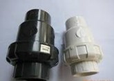 2' PVC Ball Check Valves