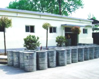 Peppermint Essential Oil