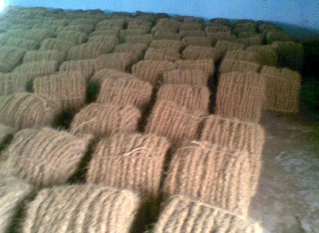 Coir Ropes