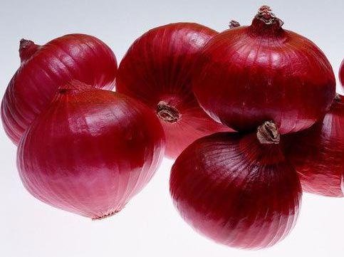 Fresh Onion, Color : Red