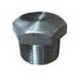 Stainless Steel Forged Plug