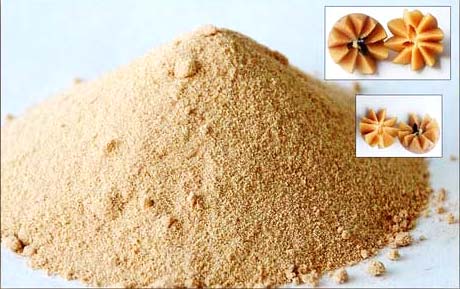 Chikoo Powder