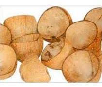 Coconut shell