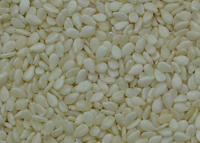 Indian Sesame Seeds