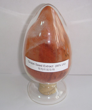 Grape Seed Extract -proanthocyanidins