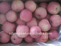 Fuji Apple, Packaging Type : red, Variety : all