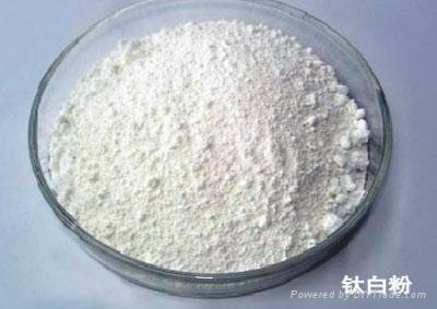 Titanium dioxide, CAS No. : 13463-67-7