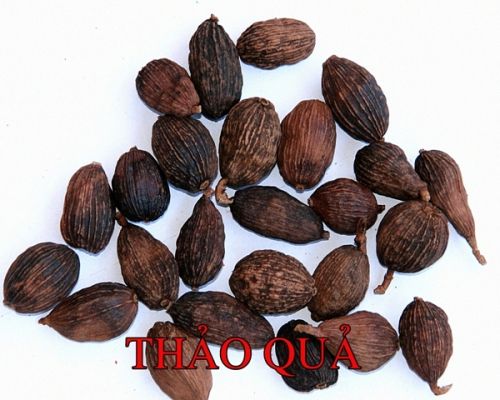 Black cardamom, Shelf Life : 6 Months