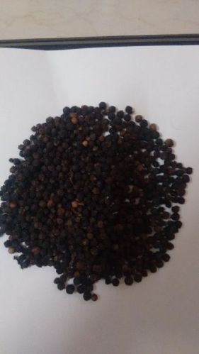 Black Pepper