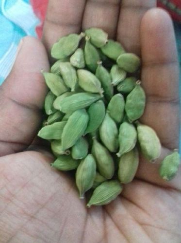 Cardamom