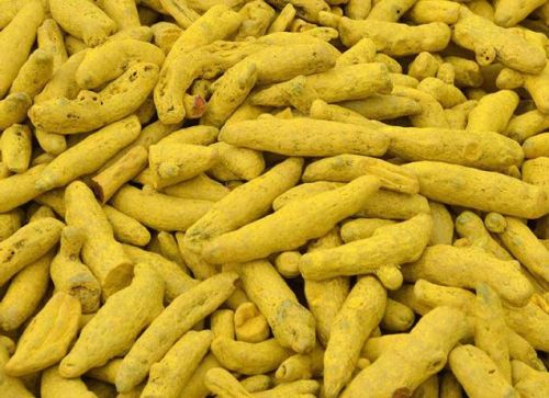 Turmeric Finger, Color : Yellow