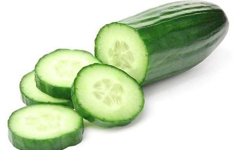 Fresh Cucumber,fresh Cucumber