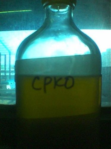 Palm Kernel Oil, Palm Oil