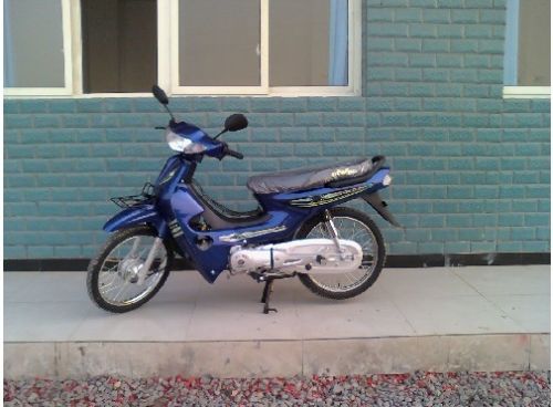 Gas Motorcycle / Scooter