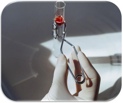 Vinyl Medical Gloves XL, Packaging Type : Translucent, Blue