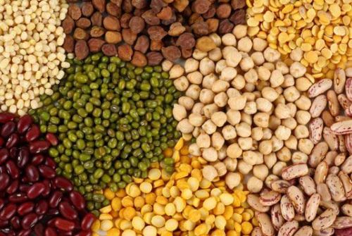 Indian pulses, Application : Cooking