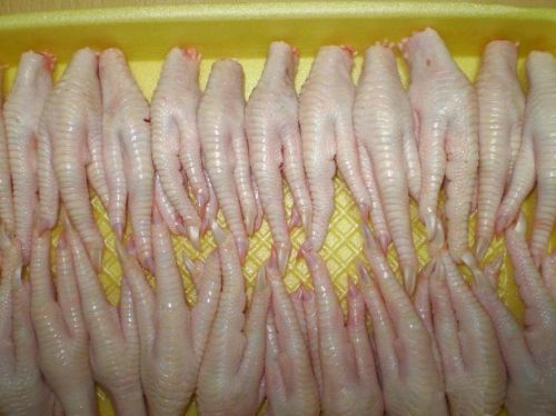 Frozen chicken feet, Certification : ISO