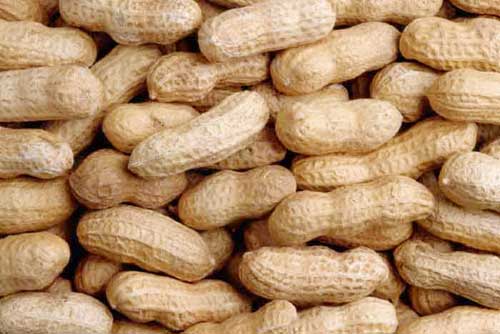 Shelled Peanuts