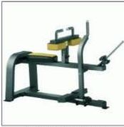 Seated Calf Machine